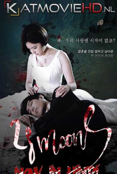 28 Moons S01 Hindi Dubbed [All Episodes] 720p HDRip (2016 Korean Drama Series)